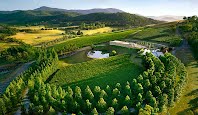 Panorama veiw of Yarra Valley